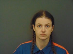 shanda vander ark now